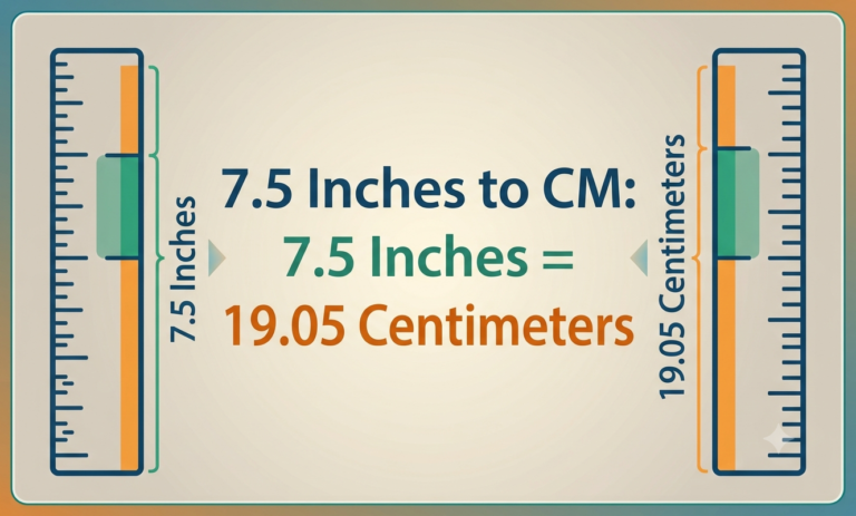 7.5 inches to cm