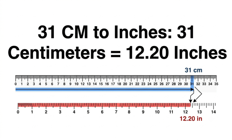 31cm to inches