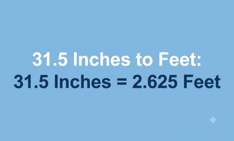 31.5 inches to feet