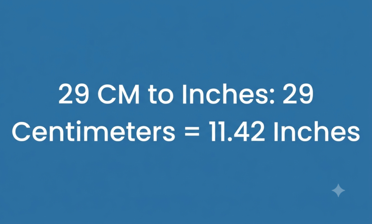 29cm to inches