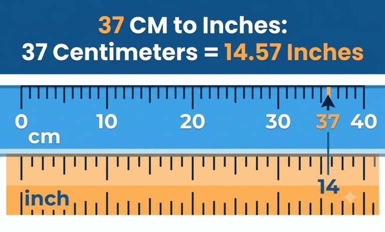 37 cm to inches