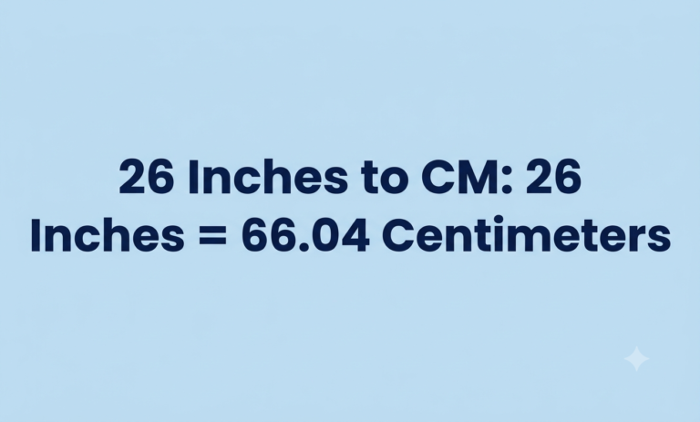 26 inches in cm