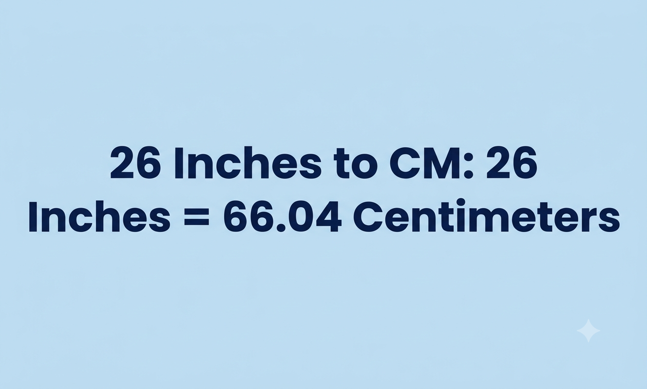 26 inches in cm