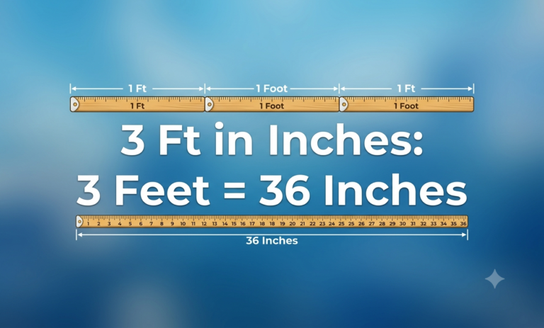 3 ft in inches