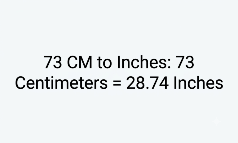 73 cm to inches