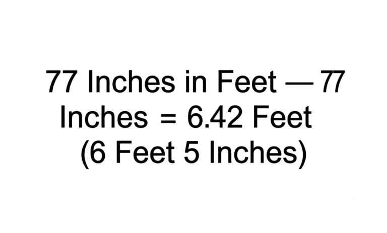 77 inches in feet