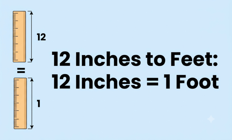 12 inches to feet