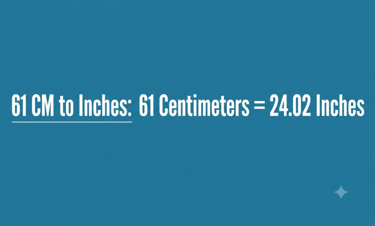 61cm to inches