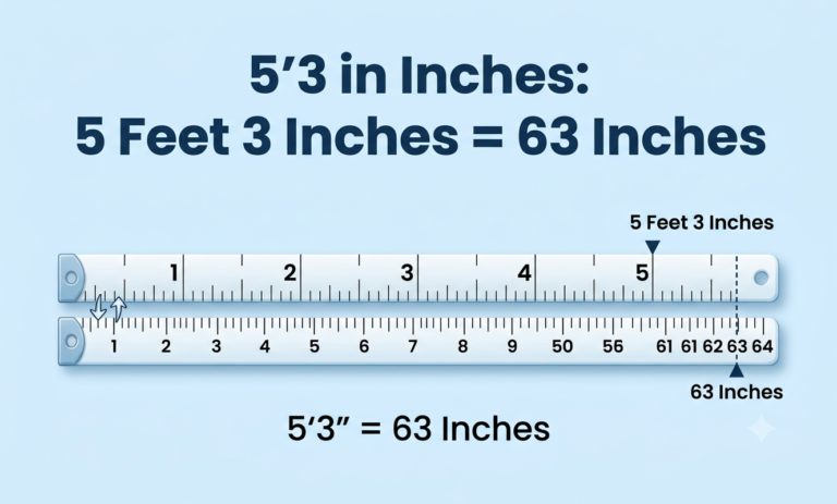5'3 in inches