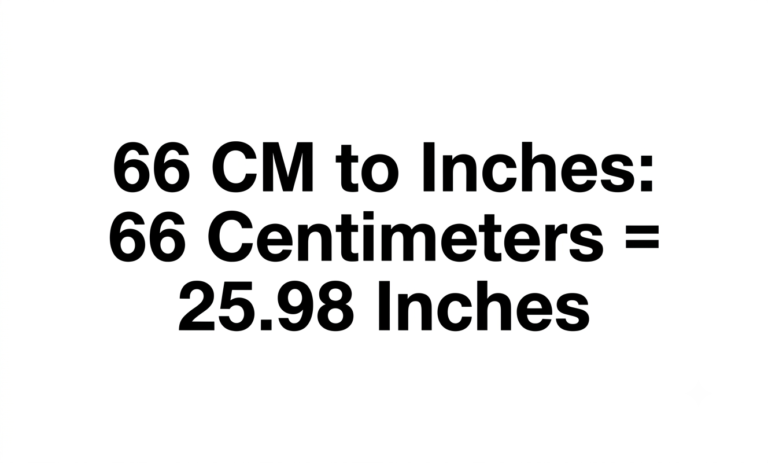 66cm in inches