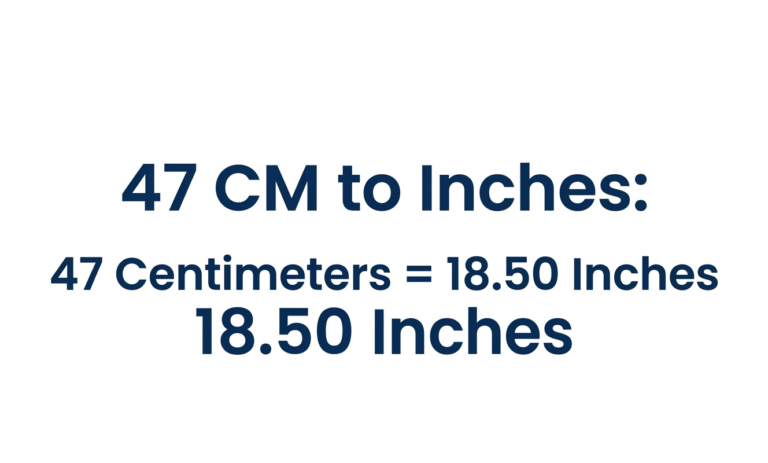 47 cm to inches