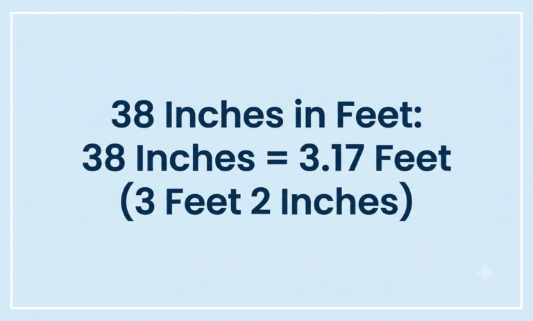 38 inches in feet