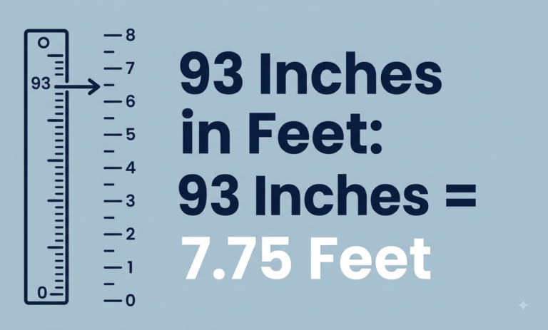 93 inches in feet