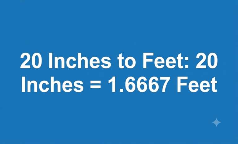 20 inches to feet