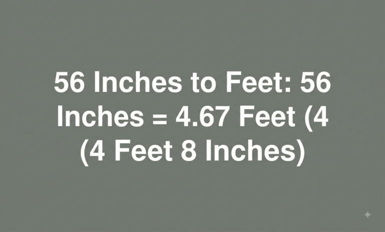 how tall is 56 inches in feet