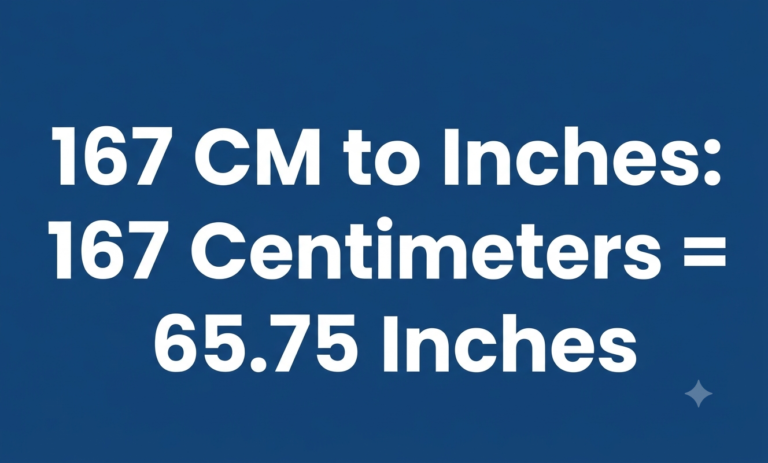 167 cm to inches