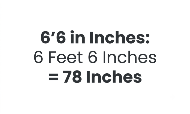 6'6 in inches