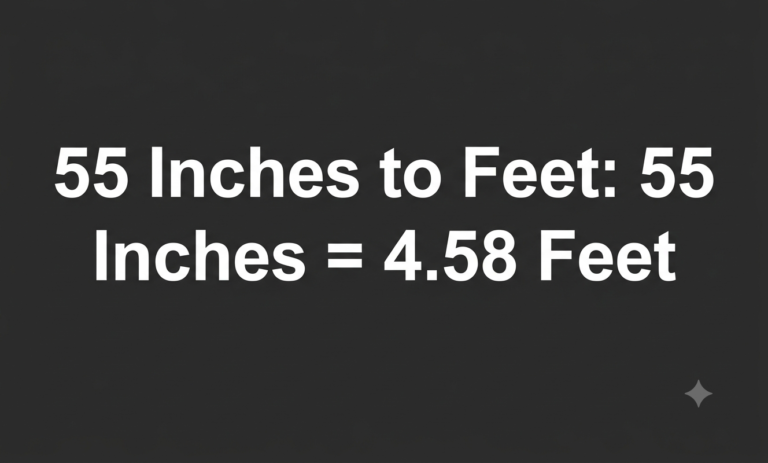 55 inches to feet