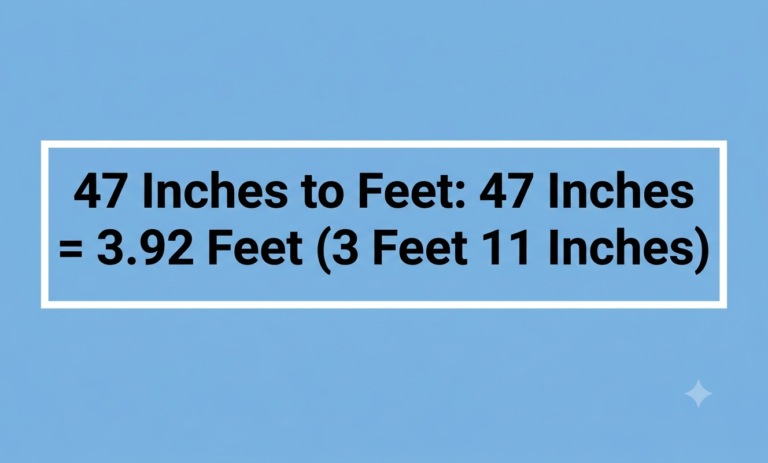 47 inches to feet